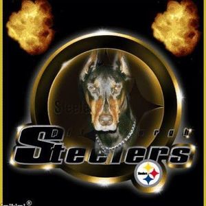 Meet your Posher, Derrick